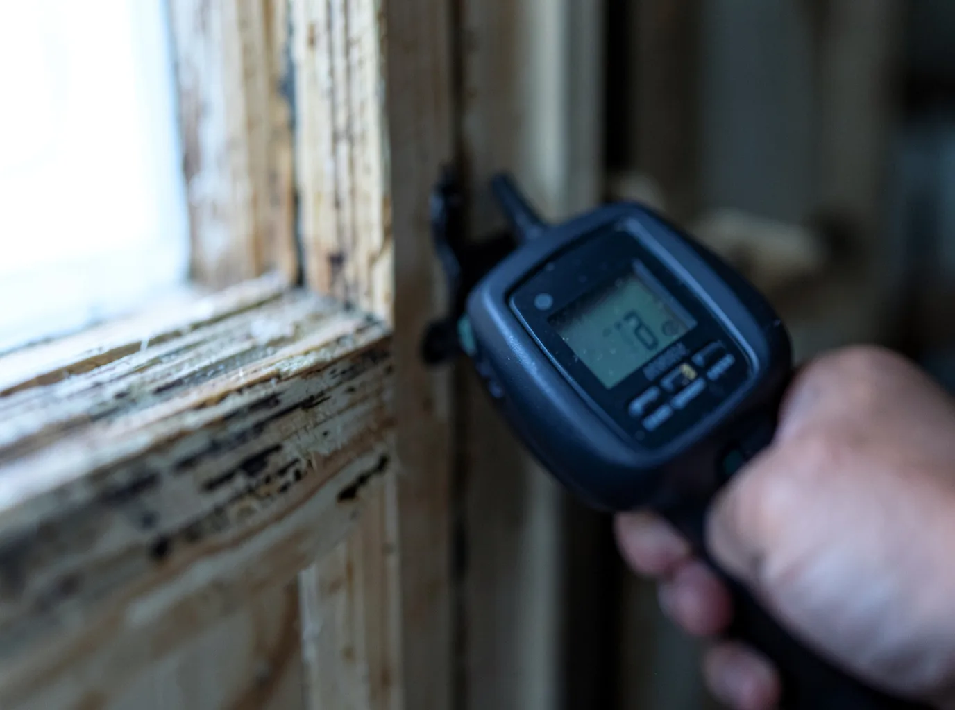 Moisture Inspection And Documentation in Garden City, NY